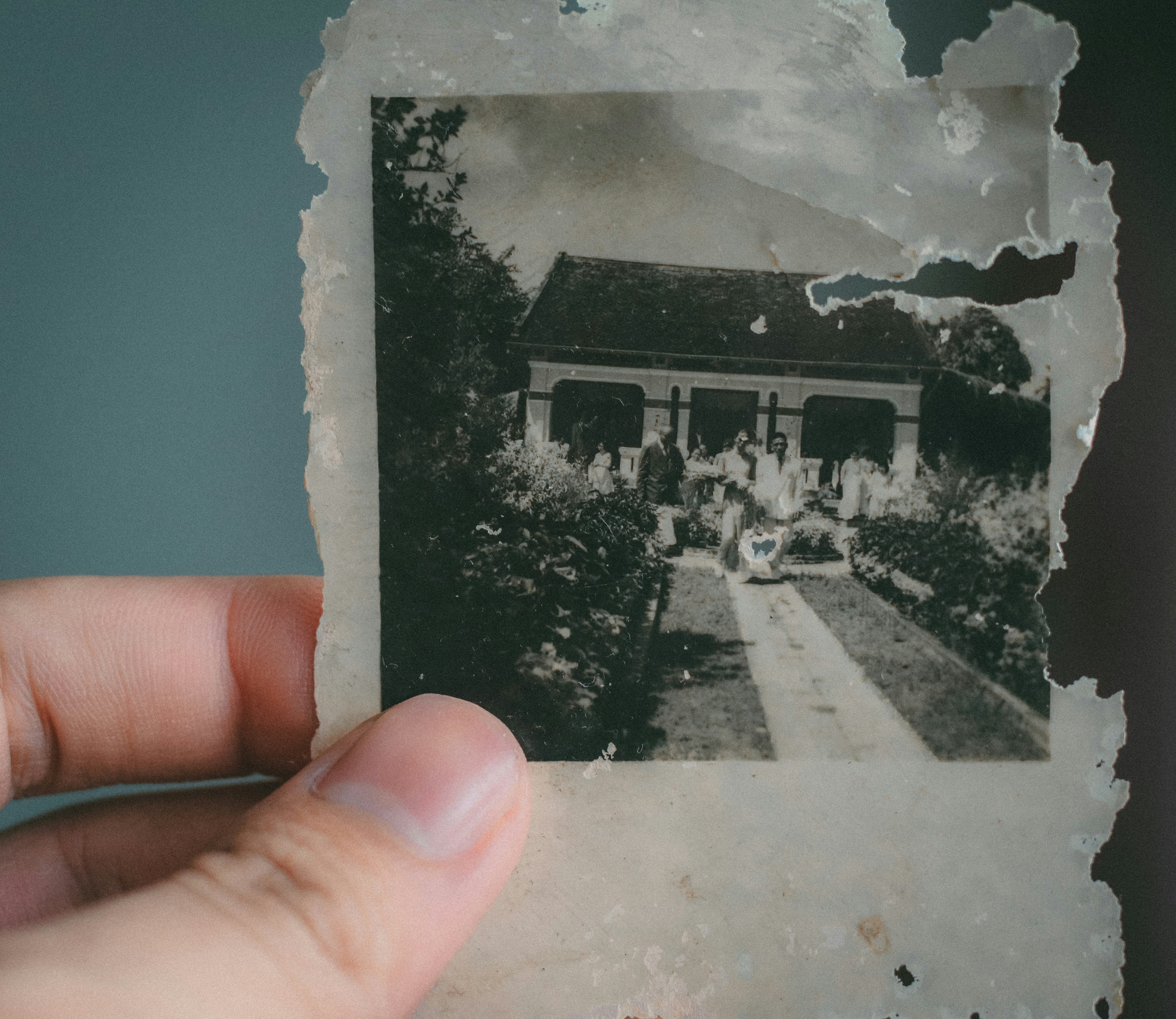 Logo Your Italian Roots by Letizia Lipari